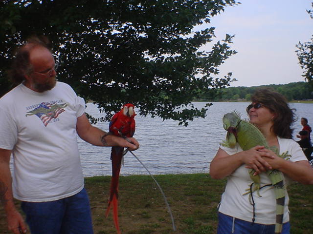 A Parrot and Iguana, Locals!